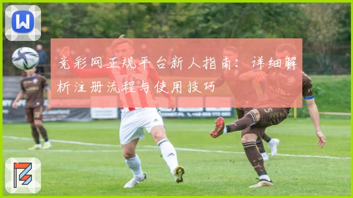 竞彩网正规平台新人指南:详细解析注册流程与使用技巧