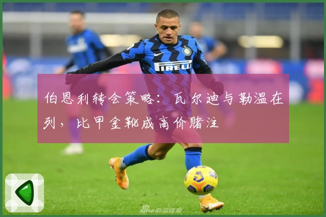 伯恩利转会策略：瓦尔迪与勒温在列，比甲金靴成高价赌注