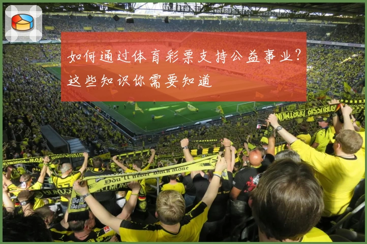 如何通过体育彩票支持公益事业?这些知识你需要知道