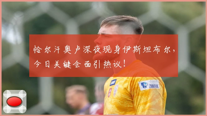 恰尔汗奥卢深夜现身伊斯坦布尔,今日关键会面引热议!